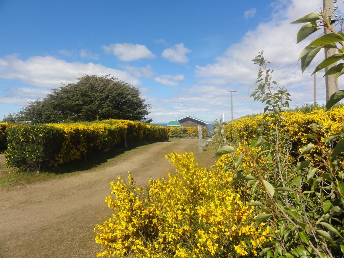 Cabanas Cerro Las Piedras Punta Arenas Dış mekan fotoğraf