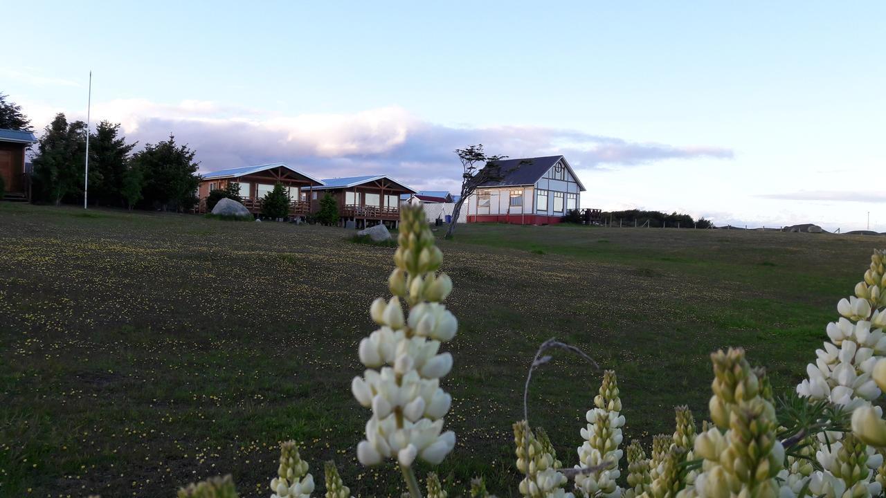 Cabanas Cerro Las Piedras Punta Arenas Dış mekan fotoğraf